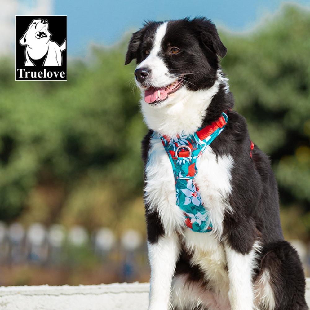 Hundeleine Hundekette Spaziergang Hundeleine Weste Brustgurt kleiner mittelgroßer und großer Hund