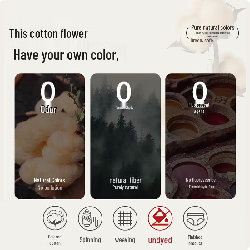 Dingguagua Women's Mid-Waist Antibacterial Viscose Cotton Briefs 3-Pack