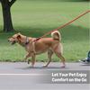 Coleira para Animal de Estimação Refletora à Prova de Explosão Corrente para Cachorro Coleira para Passeio de Cachorro Coleira para Cachorro de Porte Grande e Médio