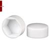Hex Nut Protective Dust Cap for Flat Head Screws