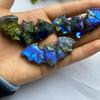 1pc Figurine de Chauve-souris en Labradorite Cristal de Guérison Pierre Gemme Naturelle Décoration d'Intérieur Ornement 6,2cm/2,44in Pierre d'Énergie de Haute Qualité