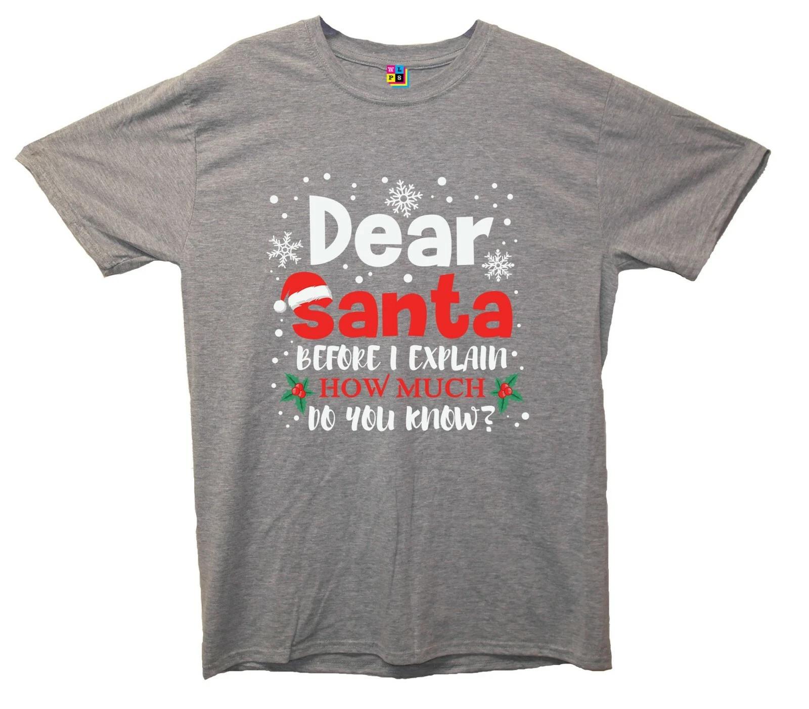 Dear Santa, How Much Do You Already Know? Funny Christmas Printed T-Shirt L
