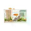 PET New Transparent Mini Fish Tank Aquarium Drop Resistant Hydroponic With Lid Ecological Desktop Home Lazy Tank Turtle Tank