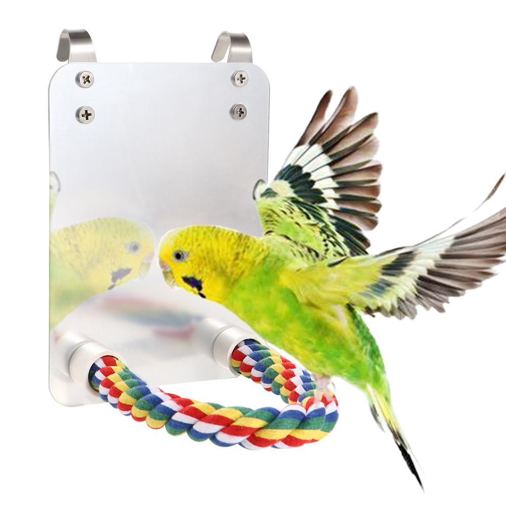 

Акриловая клетка для попугаев Корелла Conure Аксессуары для попугаев Зеркало для попугаев Качели Подставка для попугаев Игрушки для попугаев