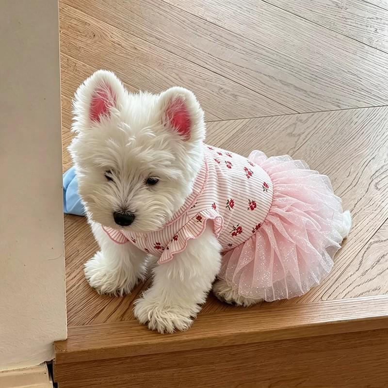 Haustier Hundekleid Floral Netz Tutu Rock Kleine Rassen Wie Bichon Frisé West Highland White Terrier