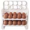 ORGANIZER CONTAINER FOR 30 EGGS 154059