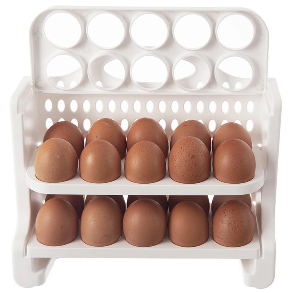 ORGANIZER CONTAINER FOR 30 EGGS 154059