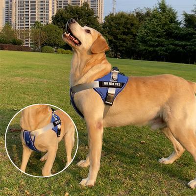 Honden – Halsbanden en hondenriemen