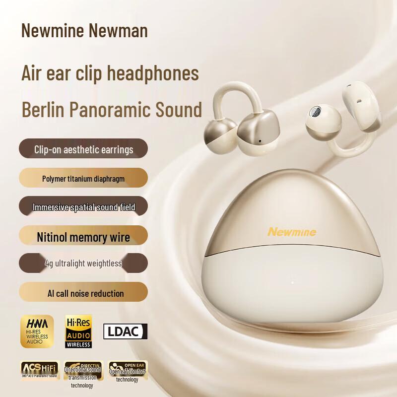 

Newmine T29 Clip-on Earbuds