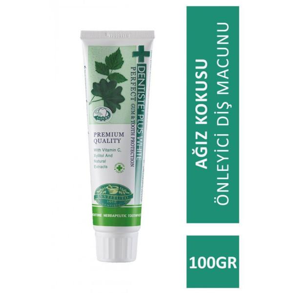 

Dentiste Plus Nighttime Herbapeutic Toothpaste 100Gr