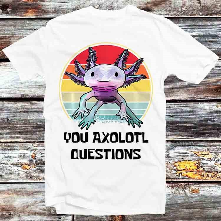 You Axolotl Questions DND Online Gamer D20 90s 8Bit T Shirt B675