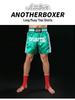 MMA Quick-Dry Fighting Shorts: Breathable Gear for Muay Thai, Kickboxing, Fitness & Running