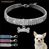 Hondenhalsband Strass Sieraden Chihuahua Kristallen Sieraden Verstelbaar Gegraveerde Tekst Hondenhalsband