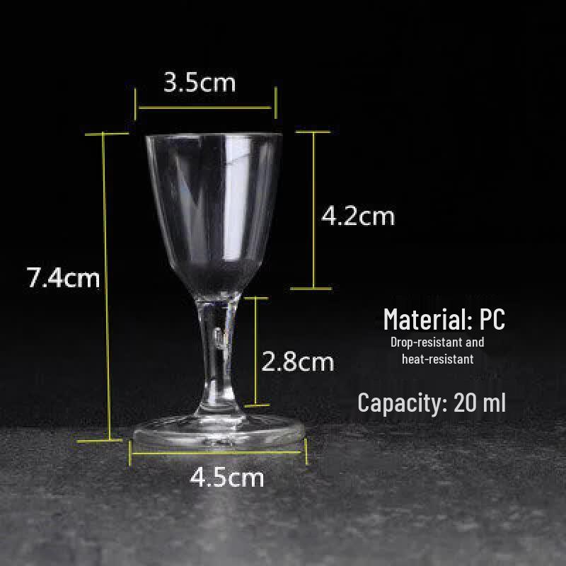 ZISIZ PC Shatterproof Champagne Flute