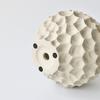 Creative Ceramic Succulent Pot for Phalaenopsis & Cyclamen - Rough Pottery Ornament