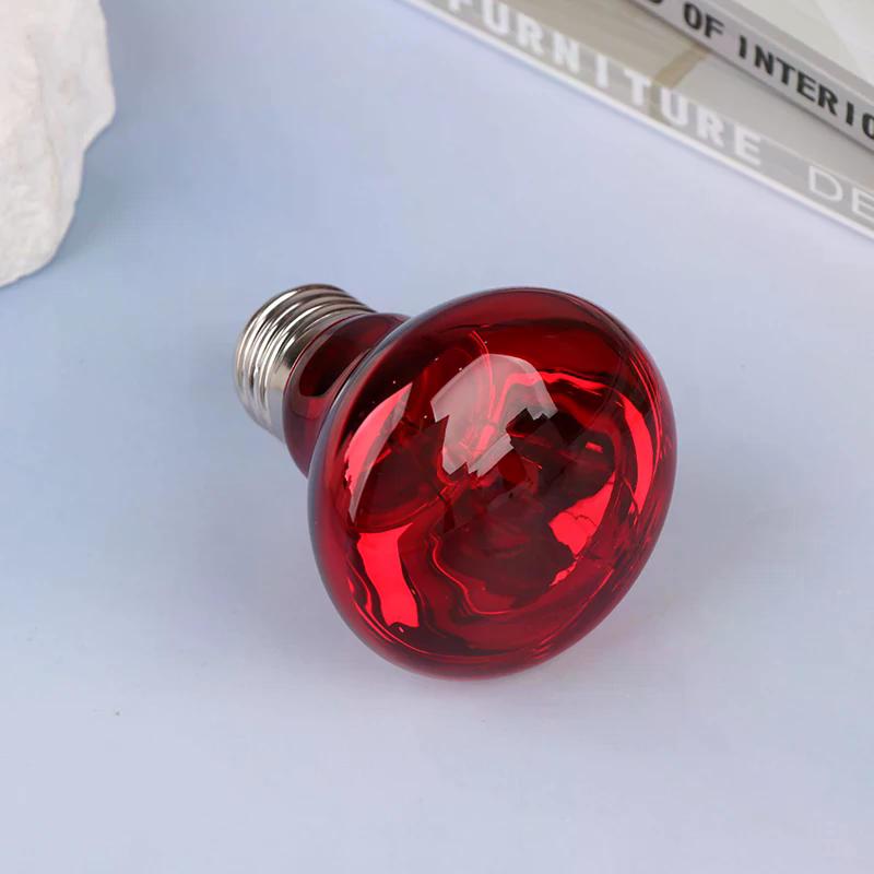 25/40/50/60/75/100W E27 UVA Poultry Bulb Infrared Night Light Day Poultry Heating Bulb For Plants Amphibians Reptile Pets