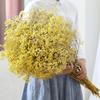 90g Dried Baby Breath Flower Bouquet Natural Dry Flowers Gypsophila Valentines Day Wedding Decoration Home Table Christmas Decor