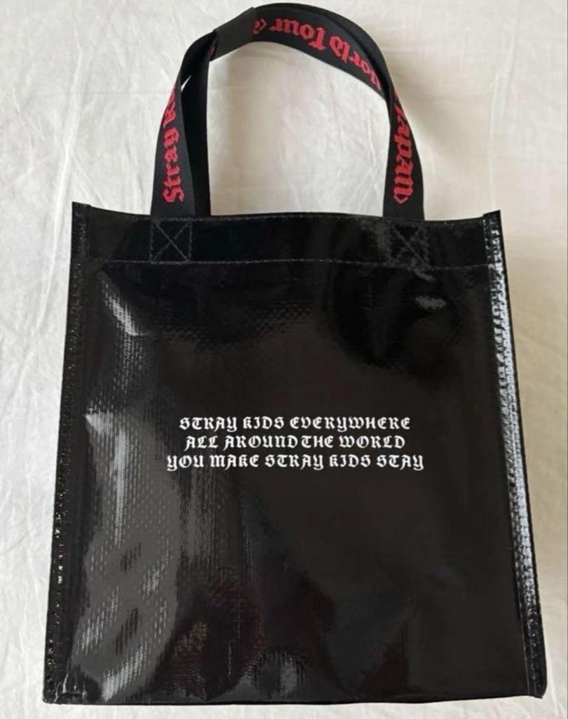 [USED] StrayKids AppGrade Bonus DominATE 2024.2025