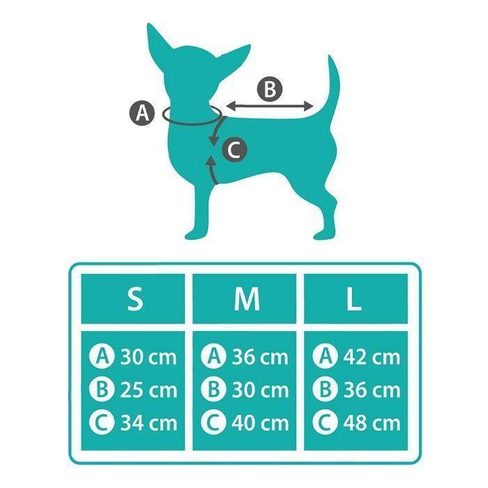 Déguisement de Dragon pour Chien