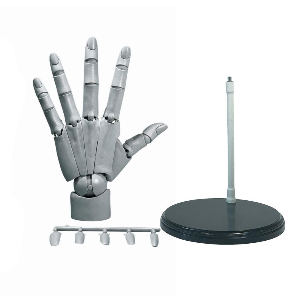 Adjustable Anatomically Accurate Jointed Hand  Simulation Sketching Painting Grey Left Hand