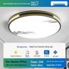 2025 LED Ceiling Light: Bright Core Design for Living, Bedroom, Study, and Dining Rooms, Wrought Iron Fixture