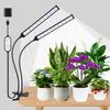 Iluminação profissional – Iluminação para horticultura