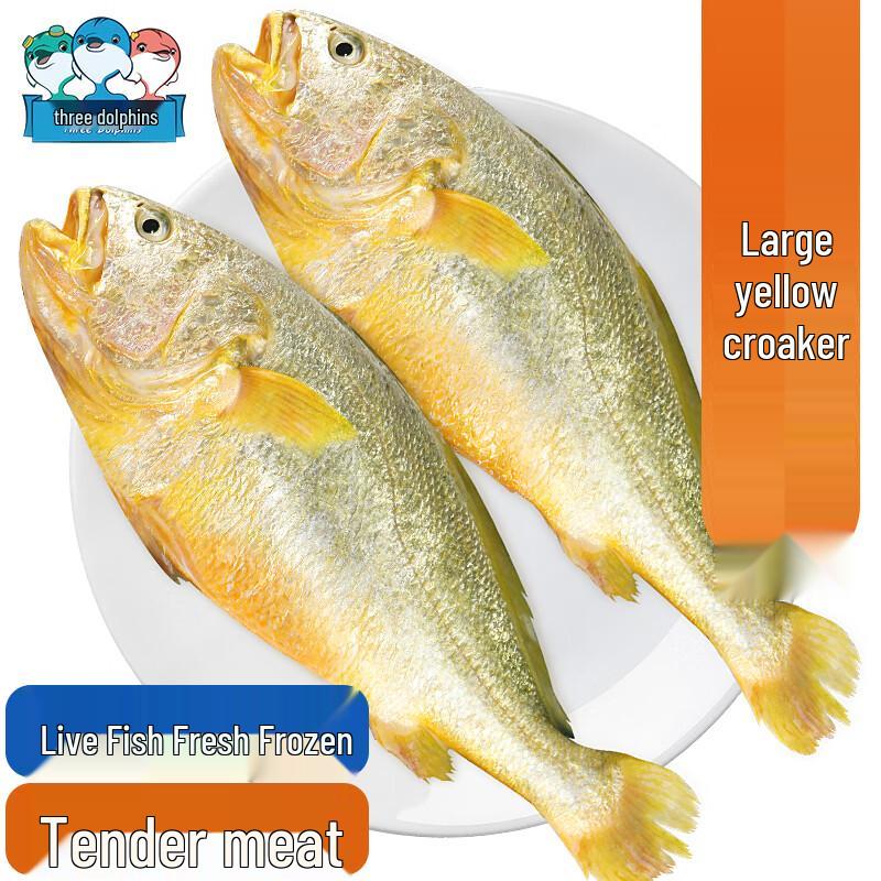 Three Dolphins Ningde Frozen Yellow Croaker