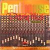 LP Record VARIOUS  Penthouse Party Mix Volume 7 PHLP2076 Penthouse Recor 1998 US Reggae Ska  Dub Used