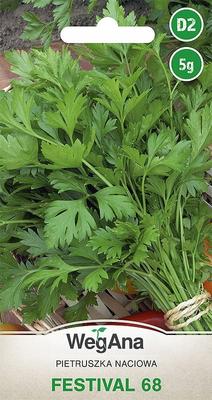 Φεστιβάλ μαϊντανού μίσχου 68 5g σπόροι μαϊντανού -