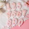 Pink Macaron Foam Number Candles 0-9 for Girls' Birthday Cake Decoration