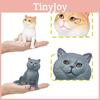 Realistic Pvc Blue Cat Model For Kids Learning Home Decor And Collectors Item