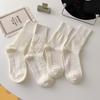 5 Pairs of Female Autumn and Winter Fashion New Cotton Tube Pile Socks