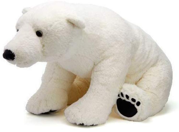 Colorata Polar Bear Plush Toy (Realistic Animal FamilySoft Touch) Realistic Animal Bear Plush Toy Doll Gift Present Birthday (Twice Checked)