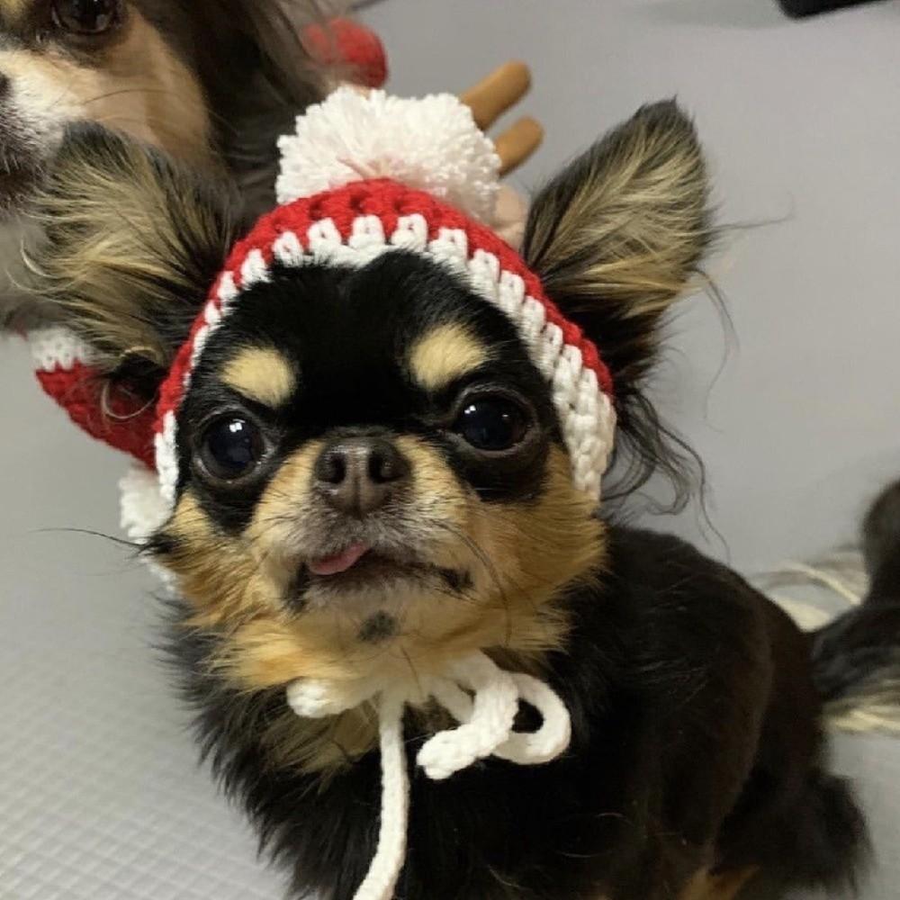 Cute Soft Flffuy Dog Fleece Hat Knitted Warm Dog Warmer Pom Hats Pet Headwear Windproof Cat Dog Cap Pet Hat Pet Supplies
