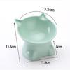 Cat Bowl With Stand Tilt Cat Bowl Cat Feeder Bowl Cat Food Water Bowl Pet Feeder
