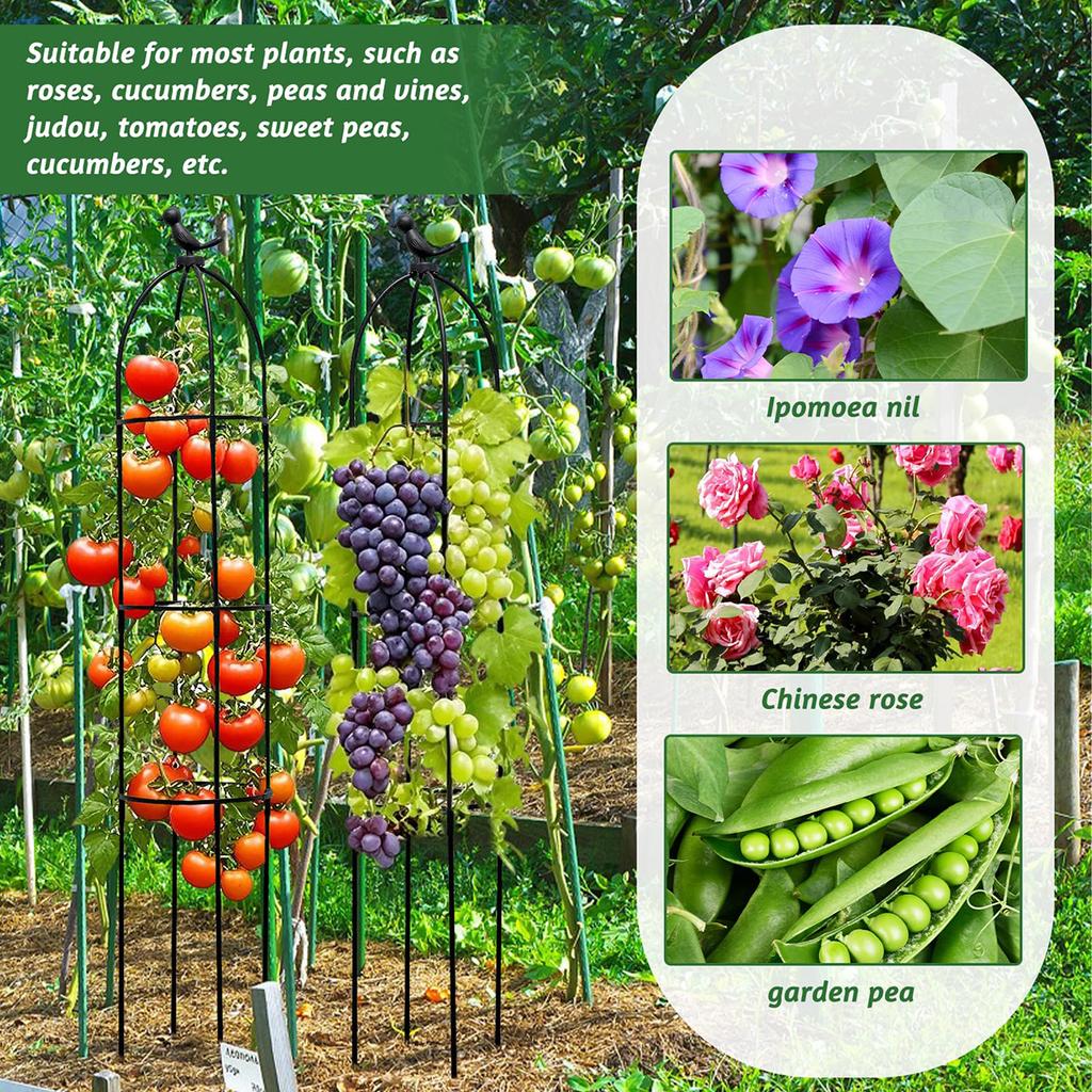 Gartenstecker Abnehmbarer Obelisk Stütze für Kletterpflanzen Rankgitter Höhe Geeignet für alle Kletterpflanzen
