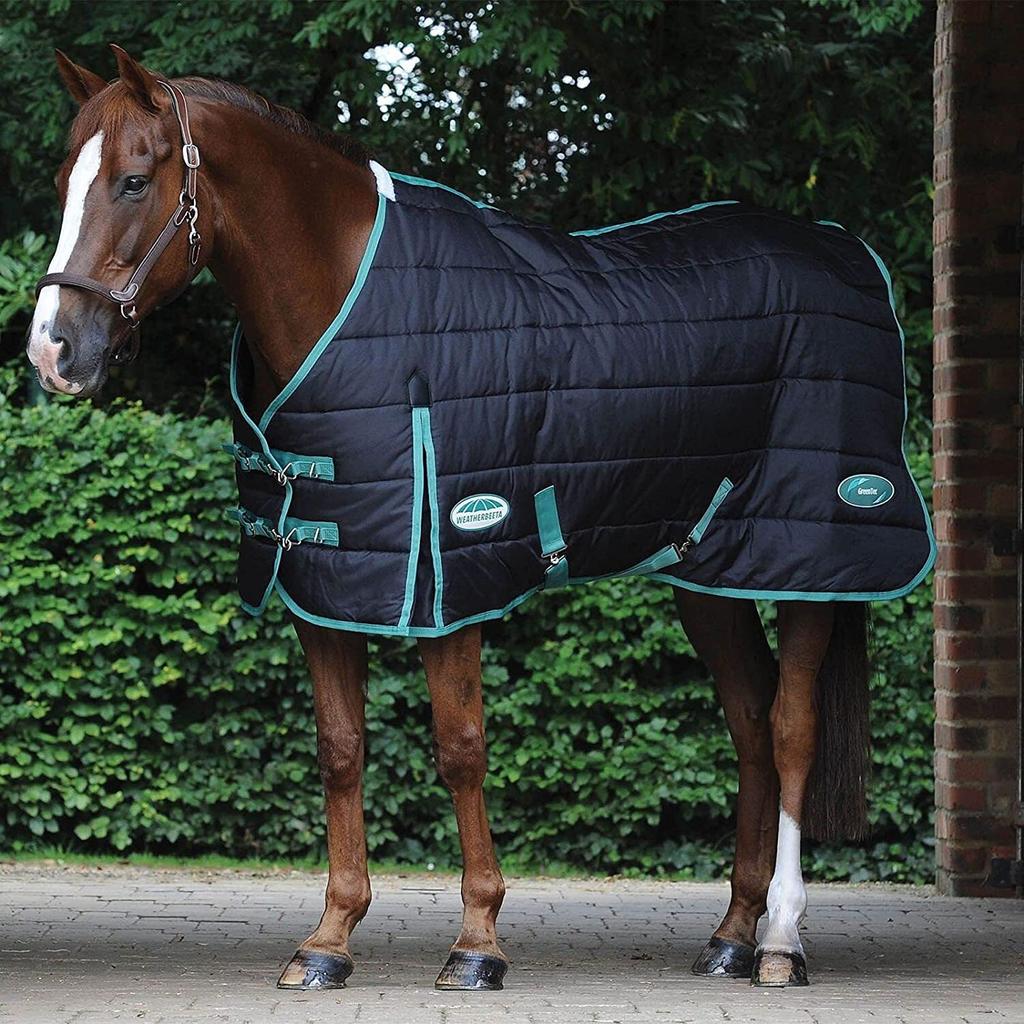 Buy Weatherbeeta GreenTec StandardNeck Horse Stable Rug at affordable