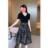 Splicing Fake Two Piece Dress Long Sleeved Women's Early Autumn New Style Light Luxury Fashion V-neck Slim A-line Dress
