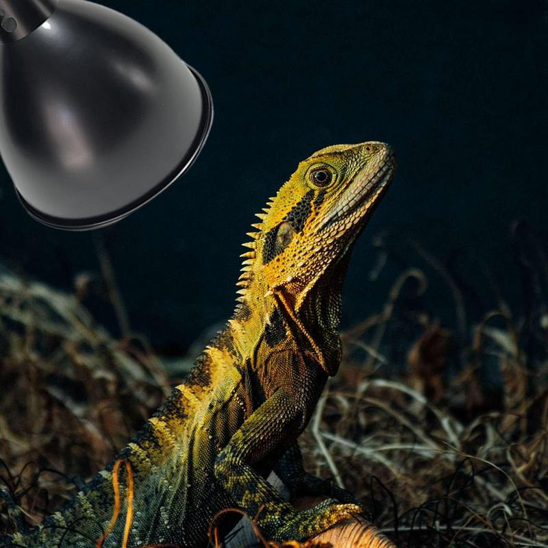 Tiefe Kuppel Reptilien Wärmelampe Fassung UVB Sonnenlicht Reflektor Kuppelschirm Terrarien Beleuchtungssystem mit optischer Reflexion