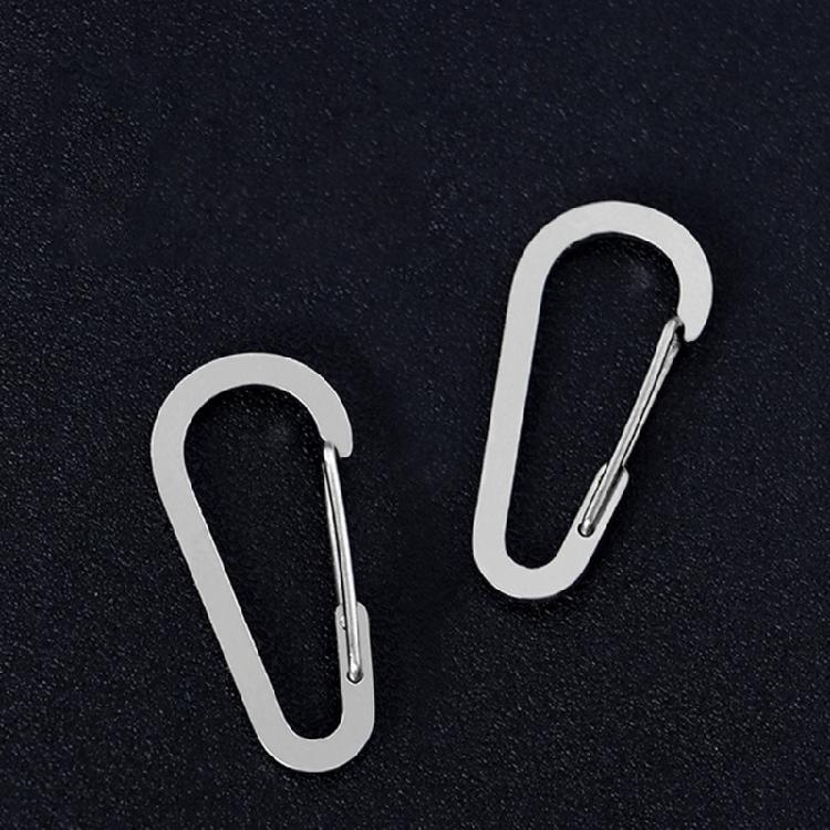 10Pcs Carabiner Clip Stainless Steels Keyring Clip Snap Hook Small Carabiner Clip for Key, Backpacks, Camping, Outdoor