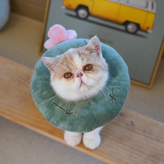 Cat Recovery Collar Super Soft Wear Resistant Nylon Cat Wound Healing Protective