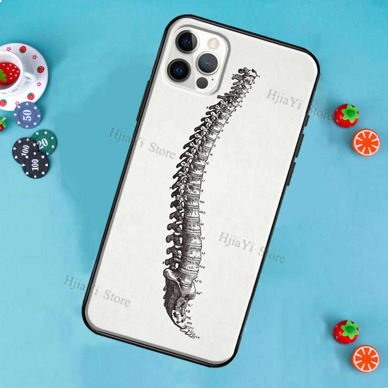 Medical Human Anatomy Phone Case For iPhone 12 Pro Max 13 Mini SE 2020 8 7 Plus 11 14 Pro Max X XS Max XR Cover