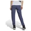 Adidas Terrex Xperior Light Pants