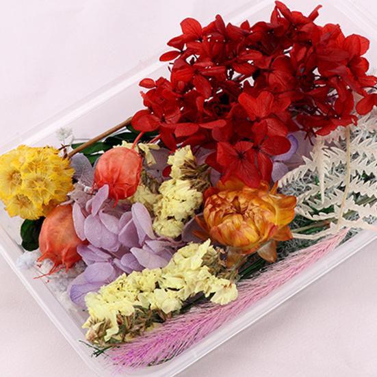 Useful Dried Flower Soft Pretty Decorative