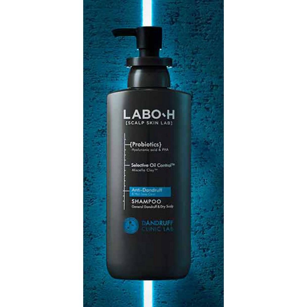 LaboH Dandruff Clinic Allgemeines Shampoo gegen trockene Schuppen, Grüntee-Minz-Geschmack, 400 ml, 2 Einheiten