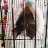Cute Small Pet Bird Parrot Soft Comfortable Nest Plush Hanging Hammock Nest House Bed Warm Nest Pet