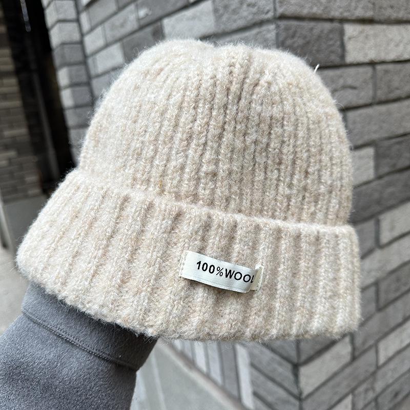 Luochi Knitting Plain Wool Knit Hat - Thick, Warm, Versatile Couple's Hat for Autumn & Winter Korean Style