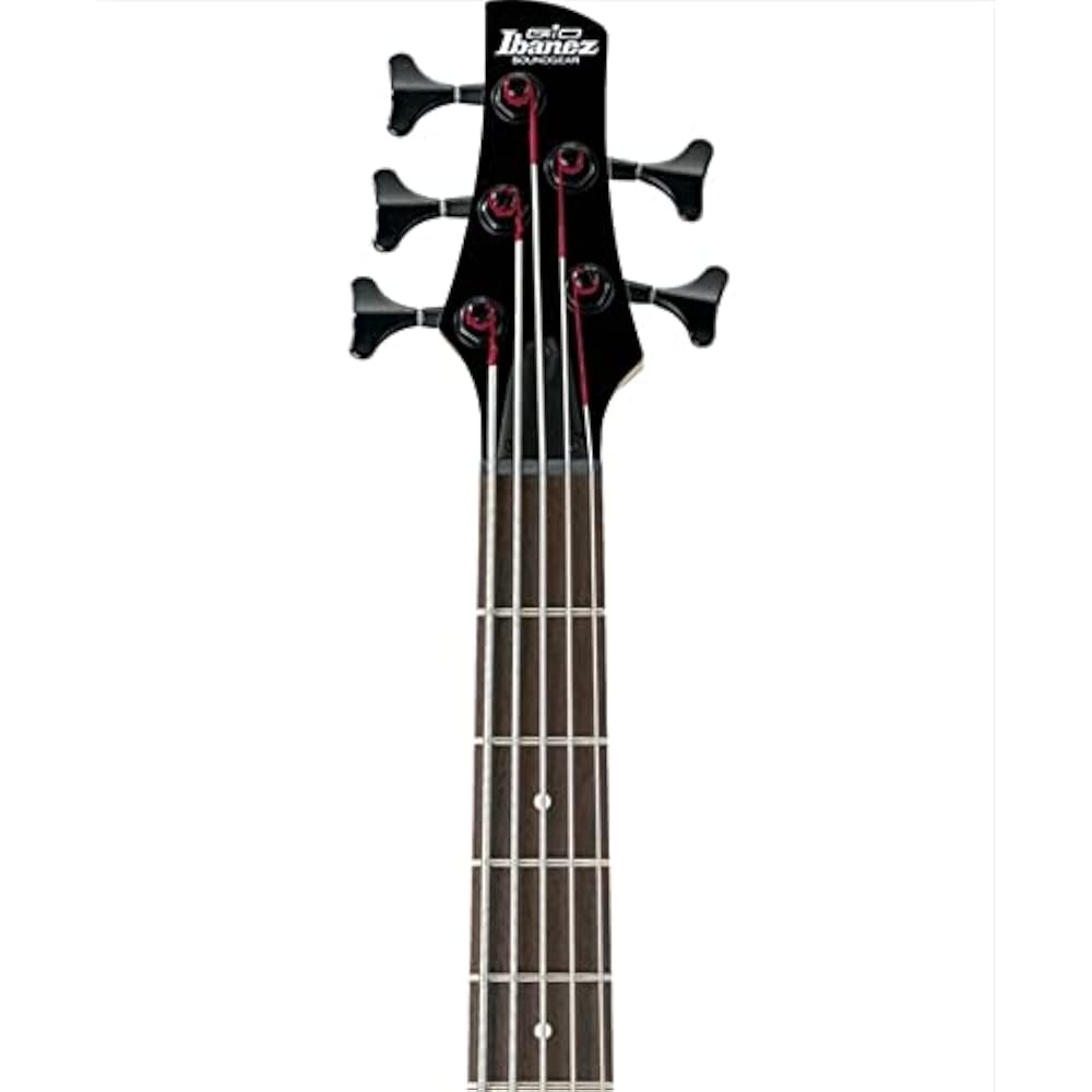Ibanez (Ibanez) GIO series 5 string electric bass walnut flat GSR205B-WNF
