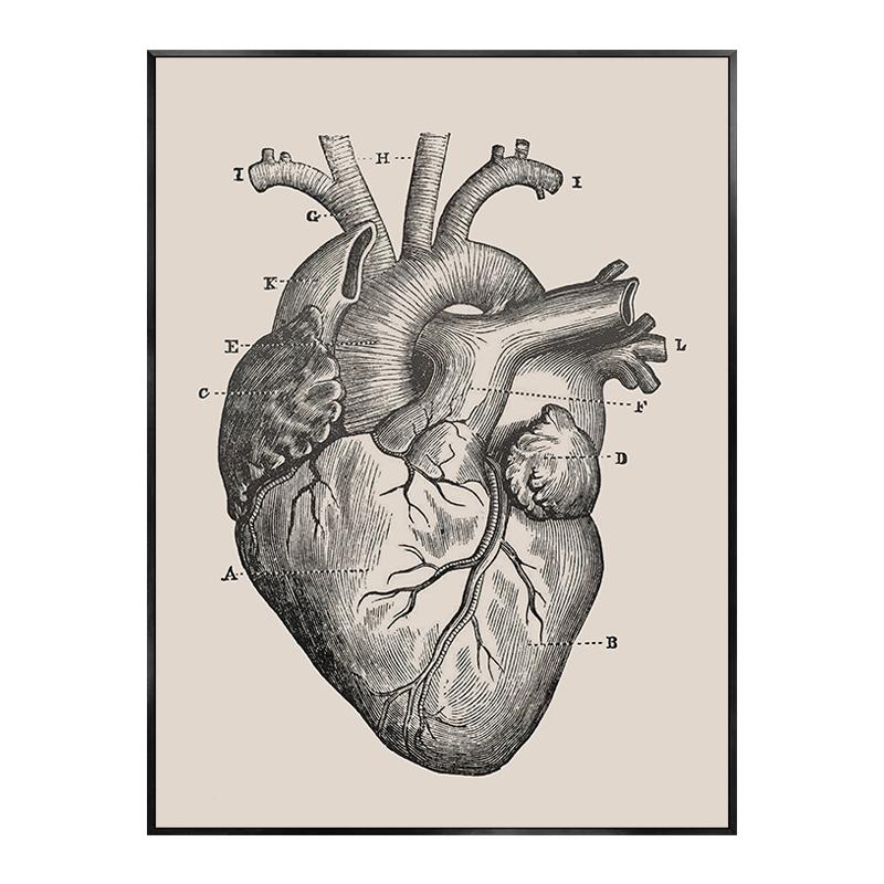 

Скелет человеческого тела, анатомический плакат, органы, художественное произведение, декоративные картины, холст, настенное искусство, клиническая эстетика, декор медицинской комнаты 30x40cm No Framed