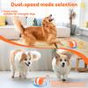 Interactive Dog Toy 2 Speed Mode Moving Cat Dog Toy with Rope Motion Activated Automatic Moving Pet Toy Ball Pet Supplies